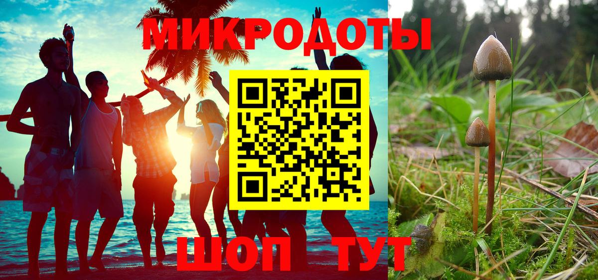 Псилоцибиновые грибы Psilocybe Курган