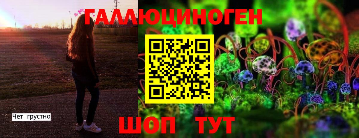 Галлюциногенные грибы мухоморы  Вход с VPN  Курган 