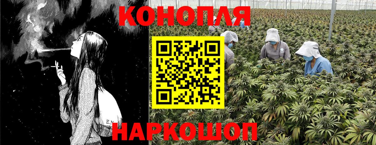 Конопля SATIVA & INDICA Курган